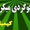 کود گوگرد کشاورزی 