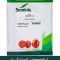 بذر گوجه bernetta ، پرفروش ترین بذر گوجه فرنگی