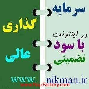 سرمایه گذاری با سود بالا در اینترنت