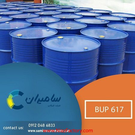 BUP 617