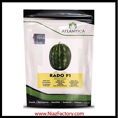 فروش بذر هندوانه RADO F1