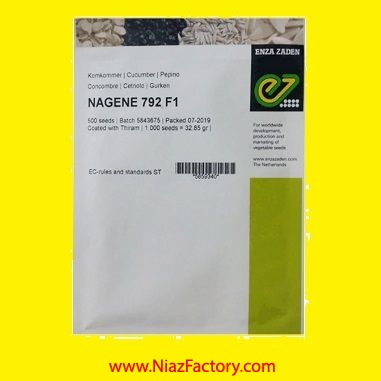 فروش بذر خیار NAGENE 792 F1، بذر خیار درجه 1