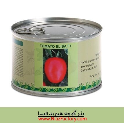 فروش بذر گوجه هیبرید الیسا ، بذر گوجه بازارپسند