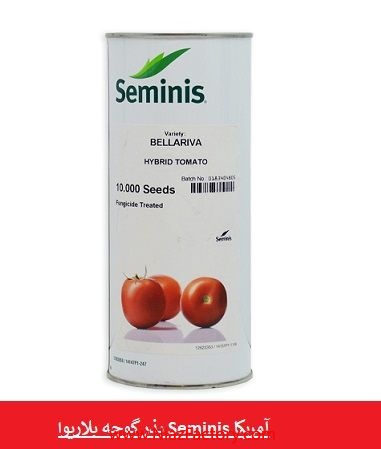 فروش بذر گوجه بلاریوا Seminis آمریکا