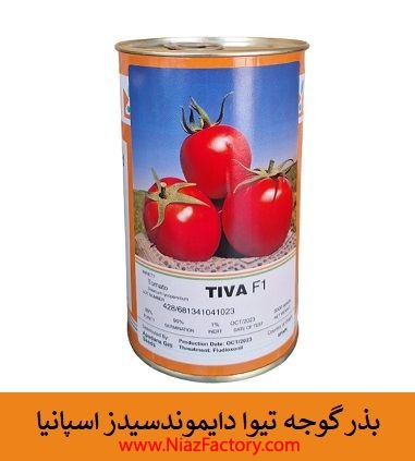 فروش بذر گوجه تیوا دایموندسیدز اسپانیا