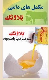 گروه تولیدی تلاونگ -تولید زرده وسفیده ومخلوط تخم مرغ مایع پاستوریزه